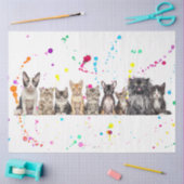 Entkopplung von Hunden und Katzen in einer Reihe Seidenpapier (Basteln)