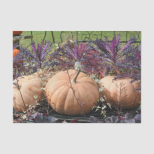 Entkopplung von Pumpen und Fall-Pflanze Seidenpapier