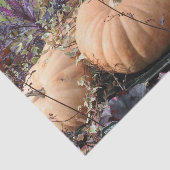Entkopplung von Pumpen und Fall-Pflanze Seidenpapier (Ausschnitt)
