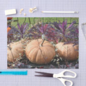 Entkopplung von Pumpen und Fall-Pflanze Seidenpapier (Handwerk)