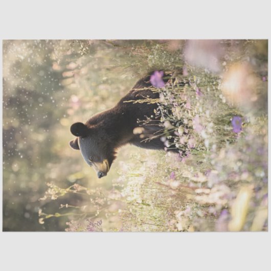 Entkopplungsbär im Bereich der Wildblumen Seidenpapier (Vorderseite)