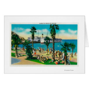 Entlang dem Strand in AvalonCatalina Insel, CA