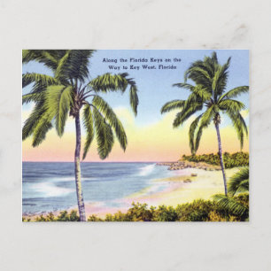 Entlang der Florida Keys Vintage Postkarte