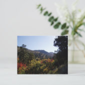 Entlang der Straße - Canyons ab Trail Postkarte (Stehend Vorderseite)