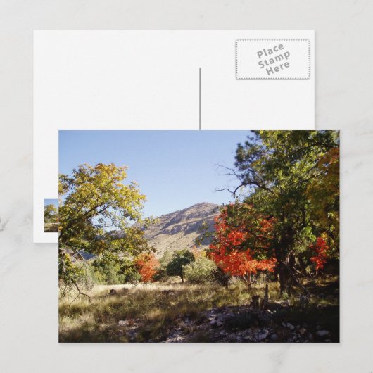 Entlang der Straße - Grassland Postkarte (Vorne/Hinten)