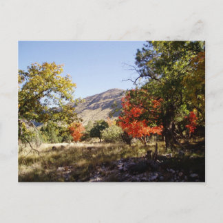 Entlang der Straße - Grassland Postkarte