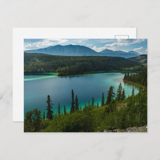 Entlang des Alaska Highways Postkarte (Vorne/Hinten)