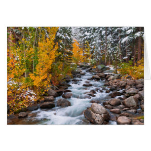 Entlang des Bishop Creek, Kalifornien