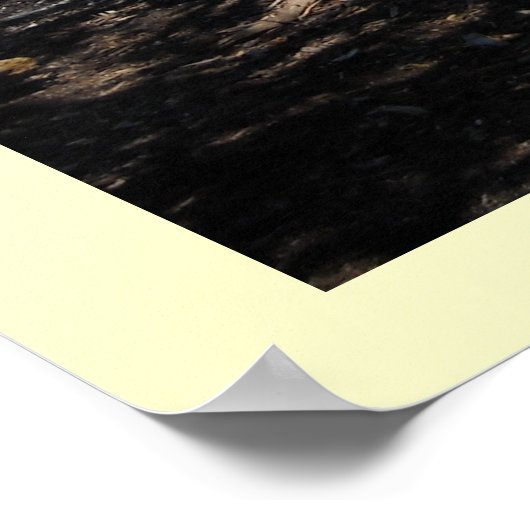 Entlang des Ozeans Poster (Ecke)