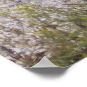 Entlang des Rocky Path Fine Art Print Poster (Ecke)