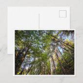 Entlang des Weges Postkarte (Vorne/Hinten)