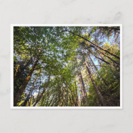 Entlang des Weges Postkarte