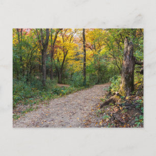 entlang gewundener Waldwege auf den lebanon Hügeln Postkarte