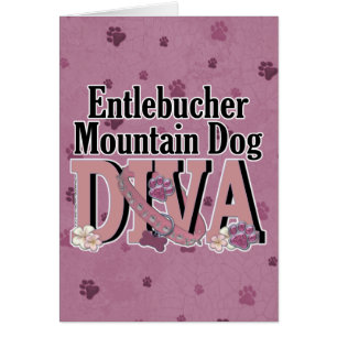 Entlebucher Gebirgshund-DIVA