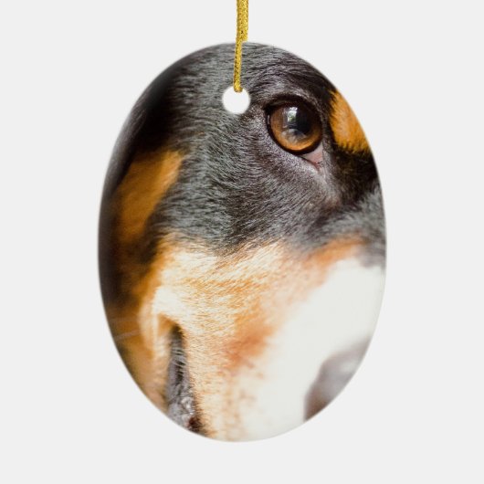 Entlebucher - ich habe meine Augen auf Ihnen! Keramik Ornament (Vorne)