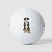 Entlebucher Mountain Hund Golfball (Vorderseite)