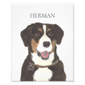 Entlebucher Mountain Hund Kunst Fotodruck (Vorne)