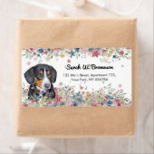 Entlebucher Mountain Hund Welpenspiel (Insitu)