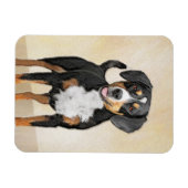 Entlebucher Mountain Hunde Malerei - Originelle Ku Magnet (Horizontal)