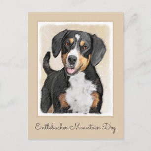 Entlebucher Mountain Hunde Malerei - Originelle Ku Postkarte