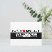 ENTLEBUCHER SENNEHUND_ POSTKARTE (Stehend Vorderseite)