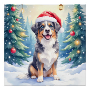 Entlebucher Sennenhund Schneewald Santa Poster
