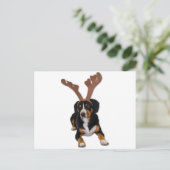 Entlebucher Weihnachtshund Feiertagspostkarte (Stehend Vorderseite)