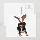 Entlebucher Weihnachtshund Feiertagspostkarte (Vorne/Hinten)