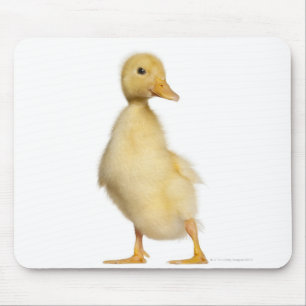 Entlein (1 Woche alt) Mousepad