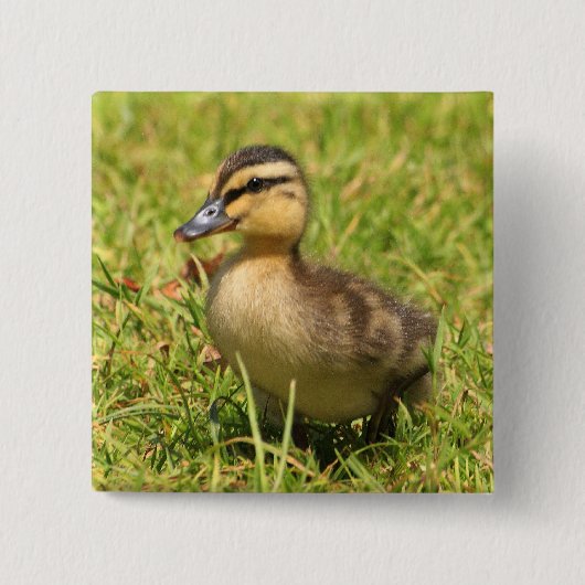 Entlein Button (Vorderseite)