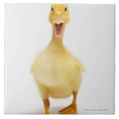 Entlein Fliese (Vorderseite)