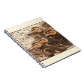 Entlein-Notizbuch Notizblock (Rechte Seite)