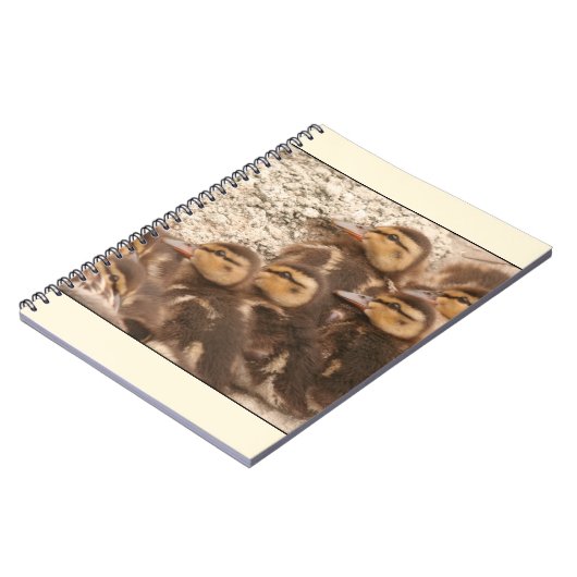 Entlein-Notizbuch Notizblock (Linke Seite)