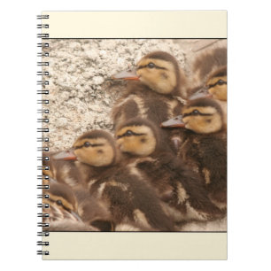 Entlein-Notizbuch Notizblock