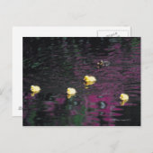 Entlein Postkarte (Vorne/Hinten)