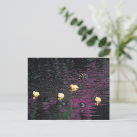 Entlein Postkarte (Stehend Vorderseite)