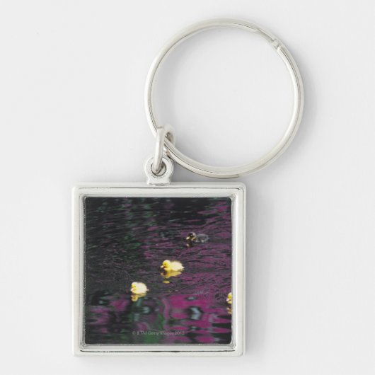 Entlein Schlüsselanhänger (Vorne)