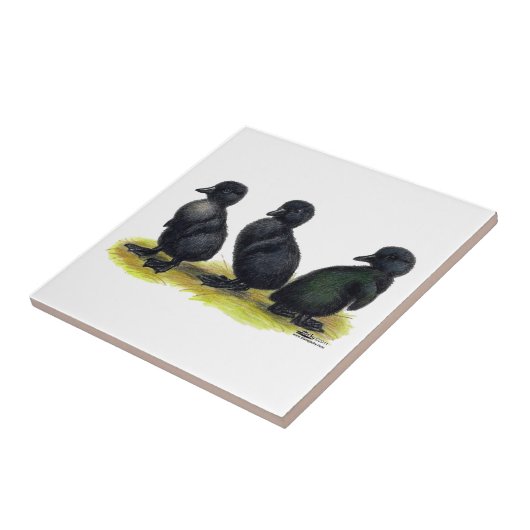 Entleinschwarzer Cayuga Fliese (Seite)