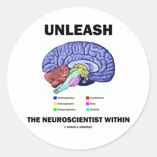 Entlüften Sie den Neurowissenschaftler innerhalb ( Runder Aufkleber (Vorderseite)