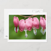 Entlüfter Postkarte (Vorne/Hinten)