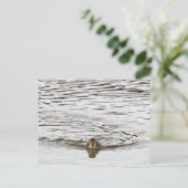 Entnahme-Foto Postkarte (Stehend Vorderseite)