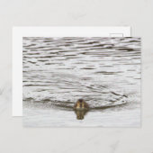 Entnahme-Foto Postkarte (Vorne/Hinten)