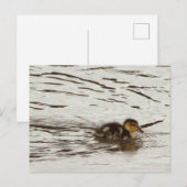 Entnahme-Foto Postkarte (Vorne/Hinten)