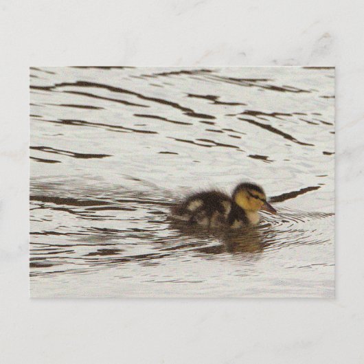 Entnahme-Foto Postkarte (Vorderseite)