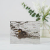 Entnahme-Foto Postkarte (Stehend Vorderseite)