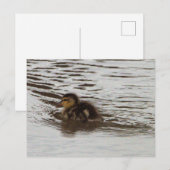 Entnahme-Foto Postkarte (Vorne/Hinten)