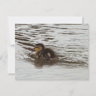 Entnahme-Foto Postkarte