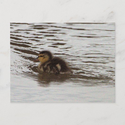 Entnahme-Foto Postkarte (Vorderseite)