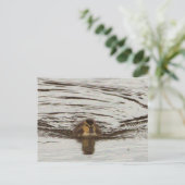 Entnahme-Foto Postkarte (Stehend Vorderseite)