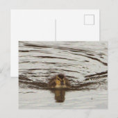 Entnahme-Foto Postkarte (Vorne/Hinten)